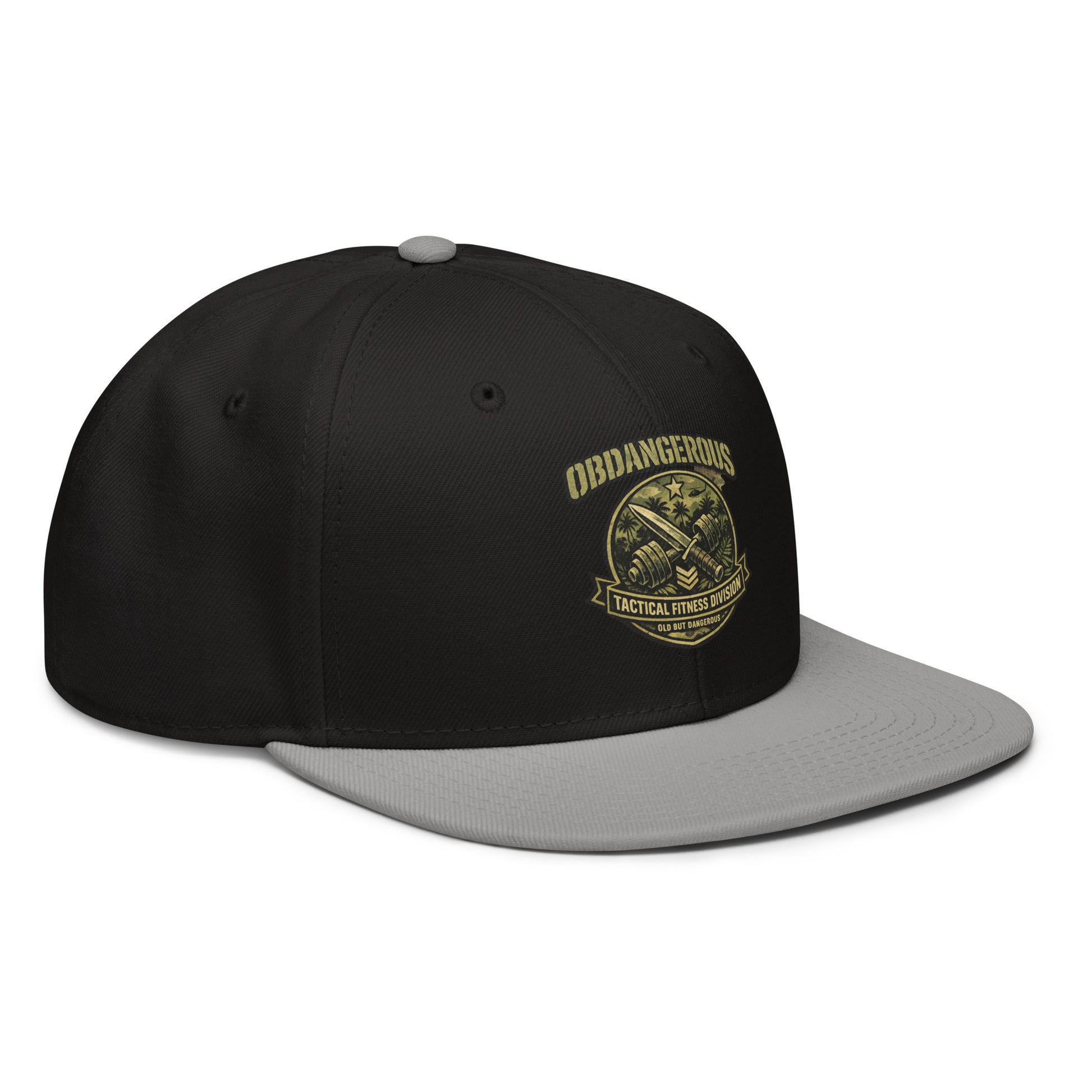 Gray and black embroidered snapback hat by OB DANGEROUS with tactical Fitness Division shield design, front view.