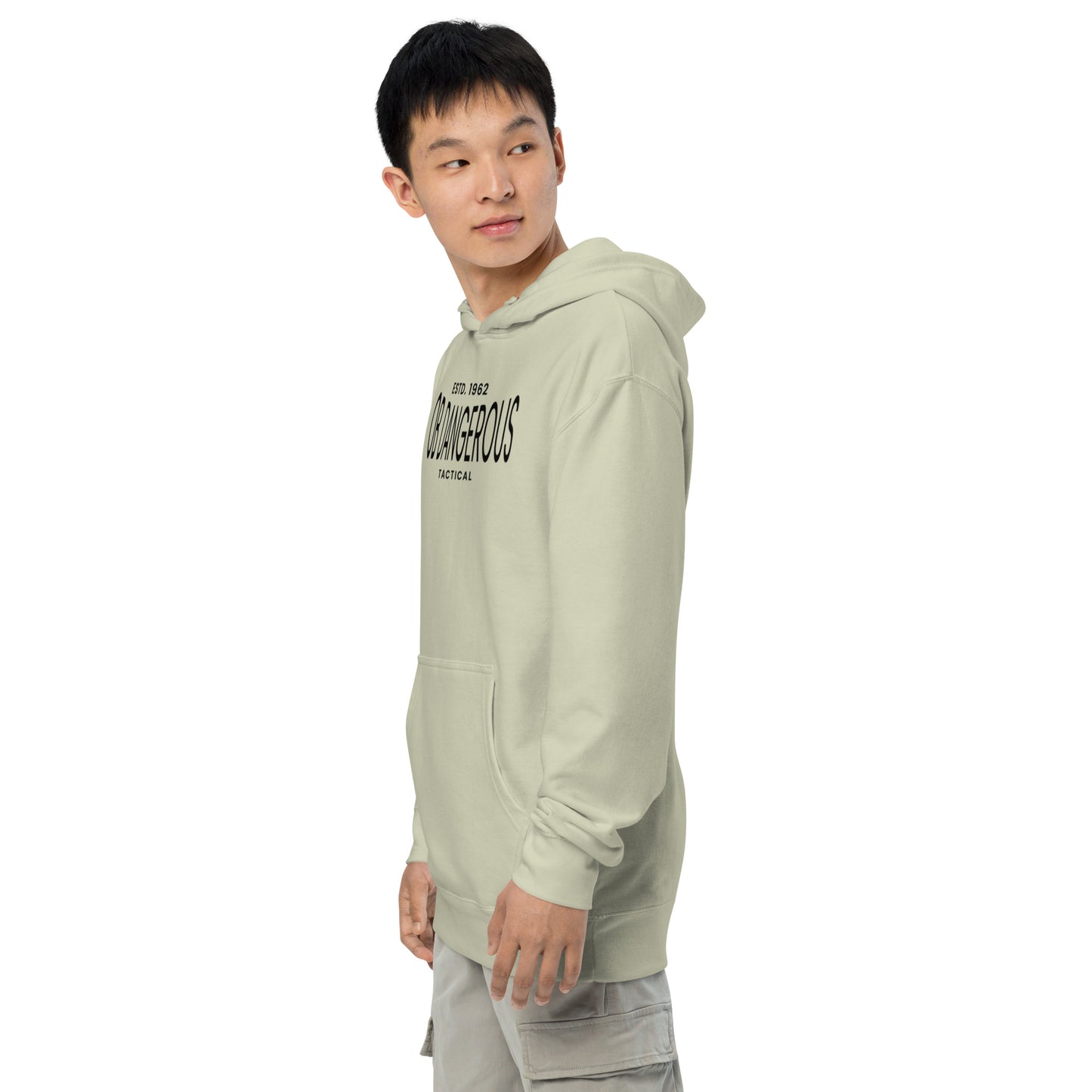 Unisex dusty sage tactical midweight hoodie from OB DANGEROUS, designed for gym and street wear, shown from the left side.
