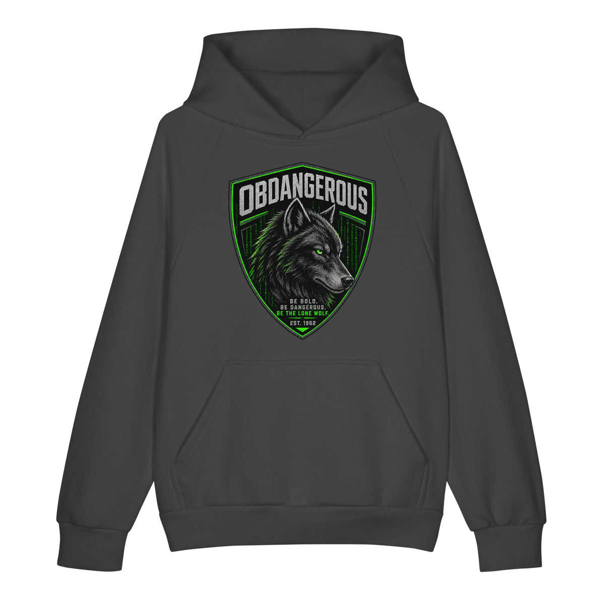 Unisex super heavyweight hoodie by OB DANGEROUS with asphalt color, front view, designed for gym and street wear.