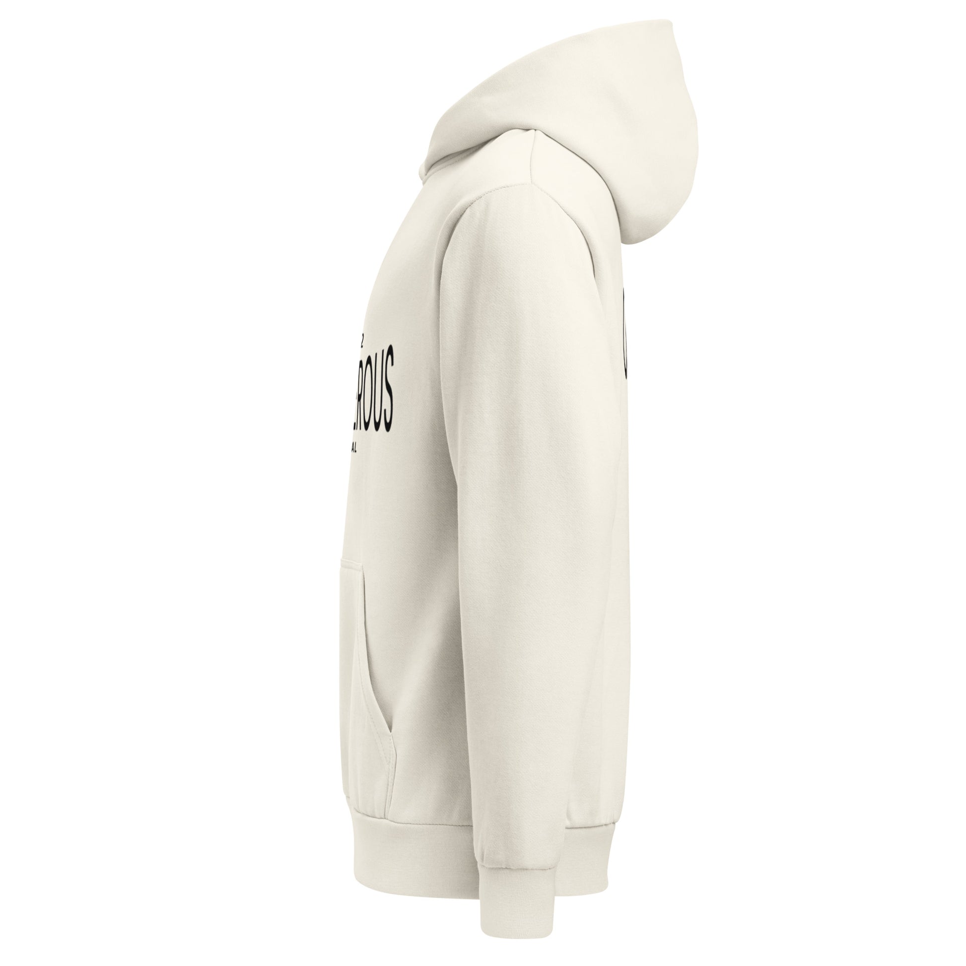 Unisex urban garment-dyed hoodie by OB DANGEROUS, featuring a relaxed fit and lunar rock color, suitable for gym and streetwear.