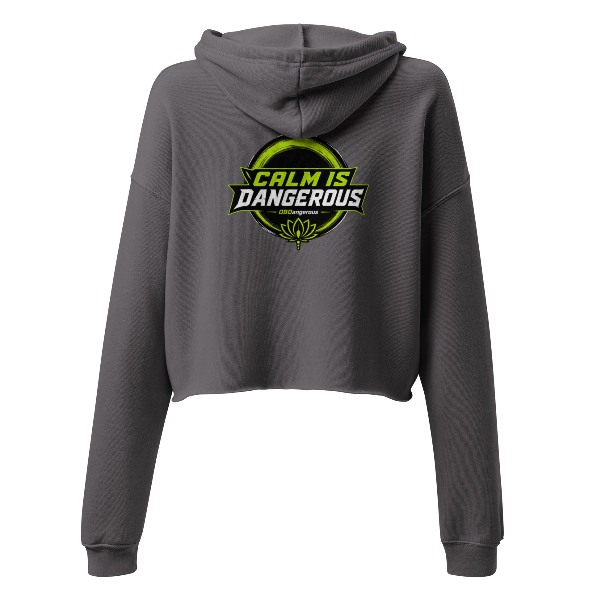 Women's storm gray cropped hoodie from OB DANGEROUS featuring a back view, designed for gym and streetwear style.