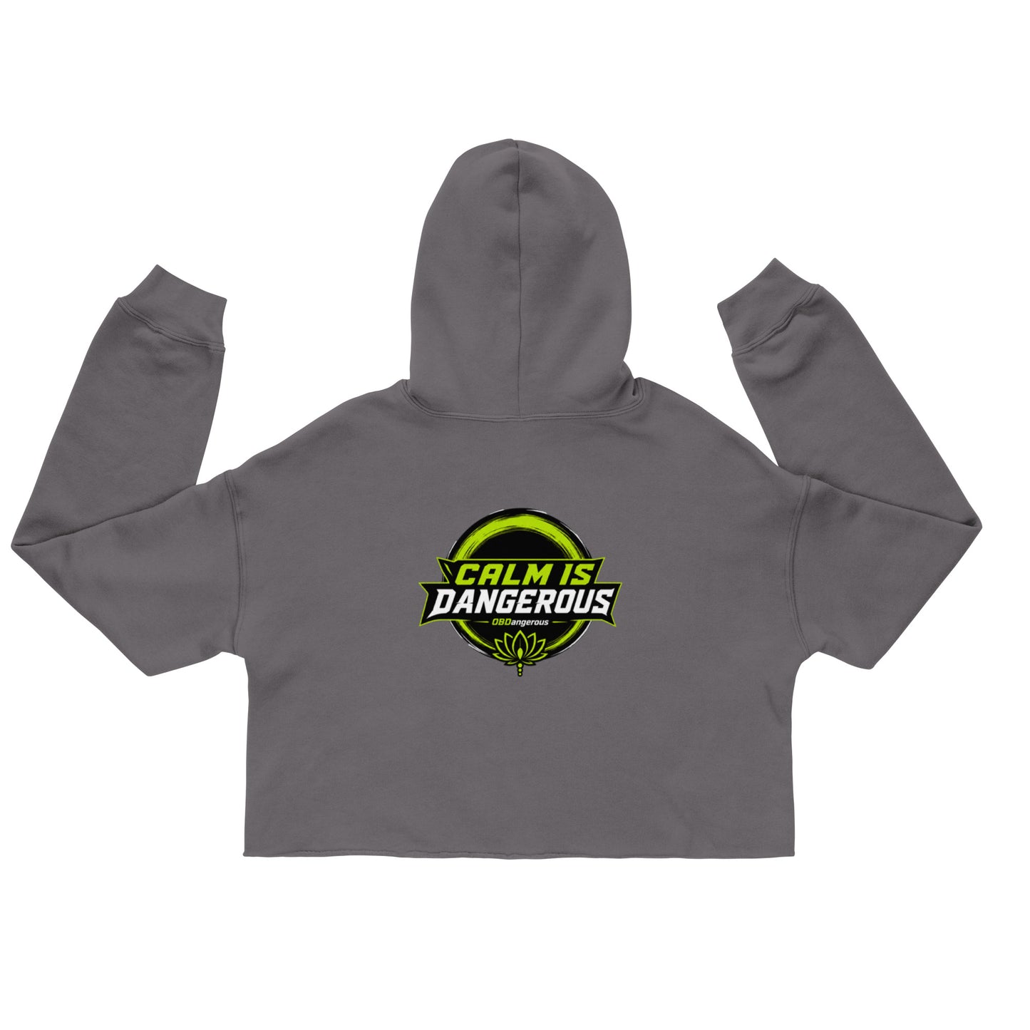 Women's OB DANGEROUS TAO OBD Crop Hoodie, storm-colored, back view, casual streetwear and gym style.
